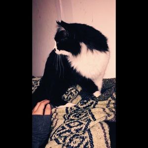 Meet your Posher, Heather